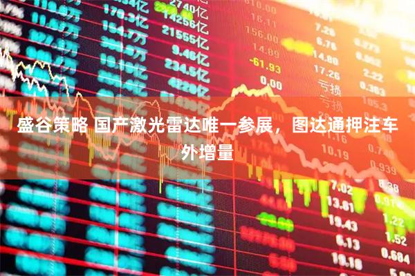 盛谷策略 国产激光雷达唯一参展，图达通押注车外增量